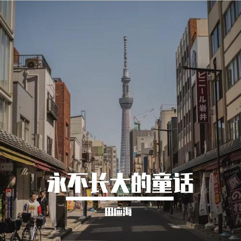 永不长大的童话封面