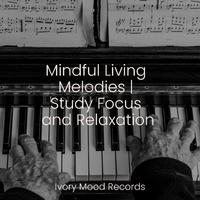 Mindful Living Melodies | Study Focus and Relaxation