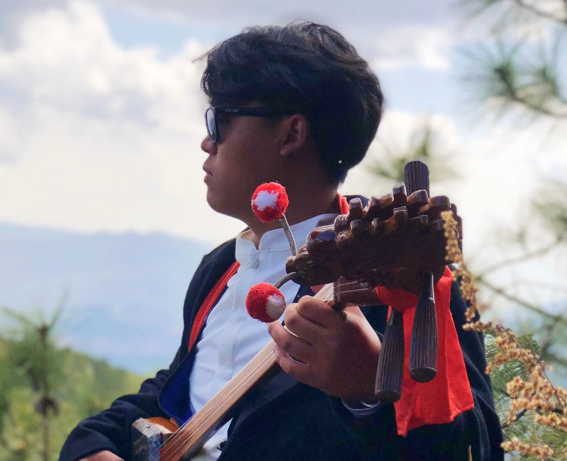 杨城张