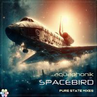 Spacebird (Pure State Mixes)