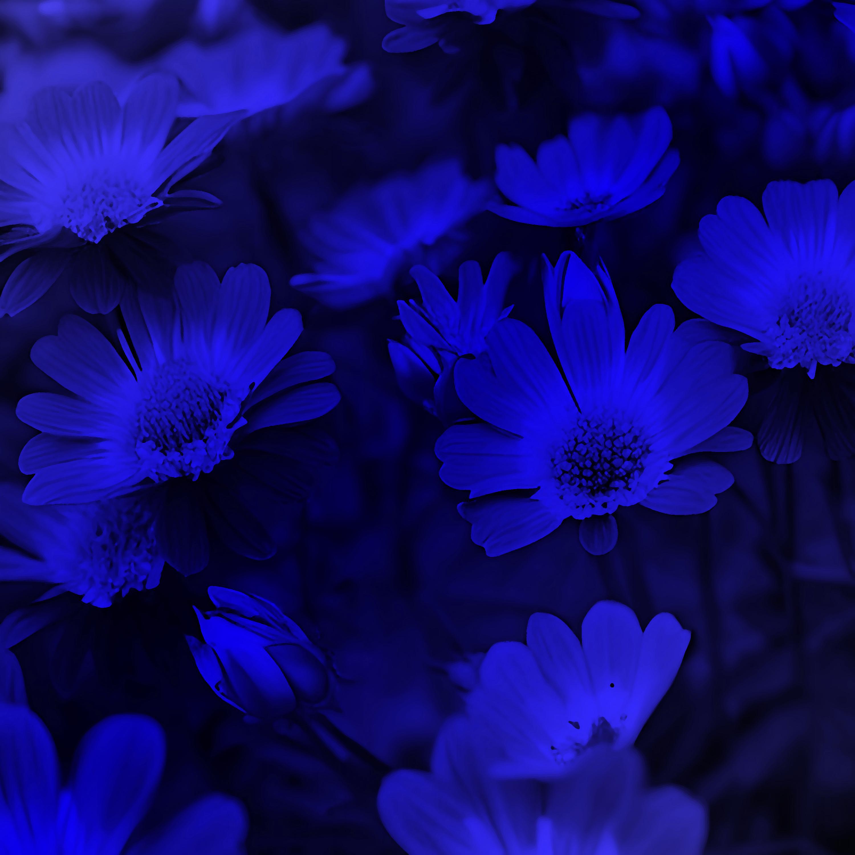 Dark Beach 2 Slowed (Remix)