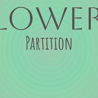 Lower Partition