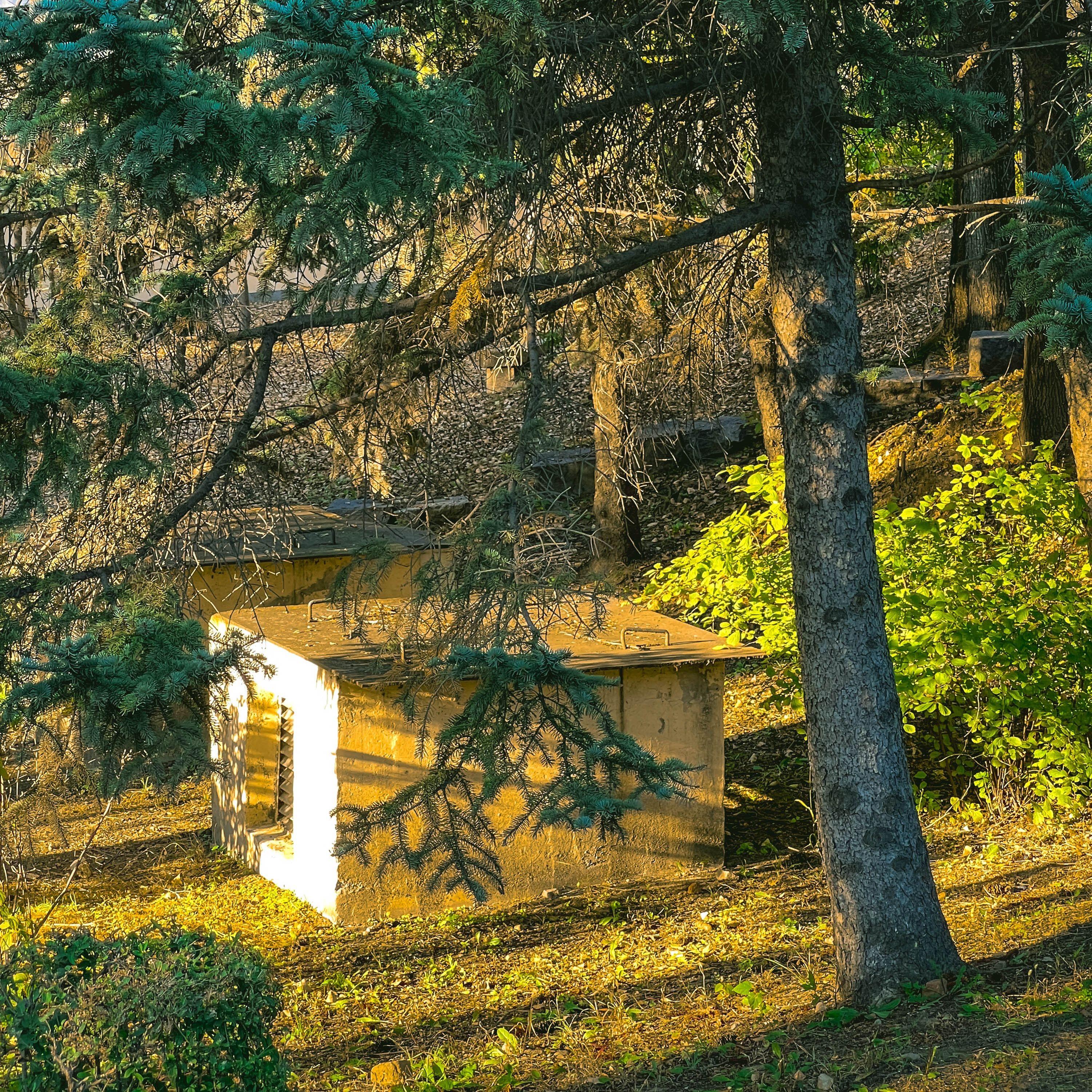 I Took A pill ln lbiza（surround version）