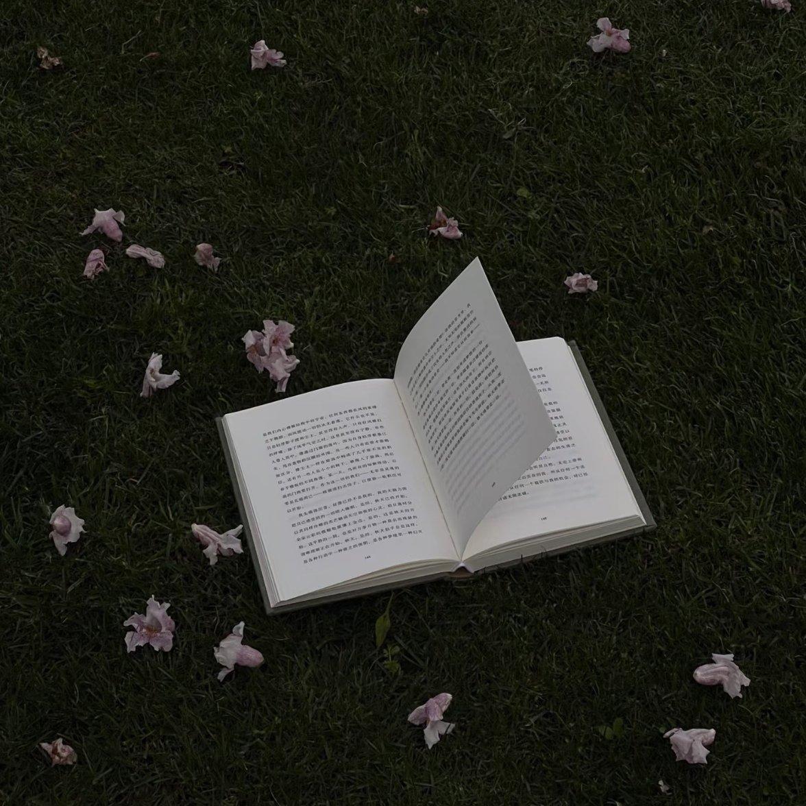 小众风格 唯美|忧郁|氛围|空灵|梦核