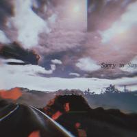 Sorry to Say