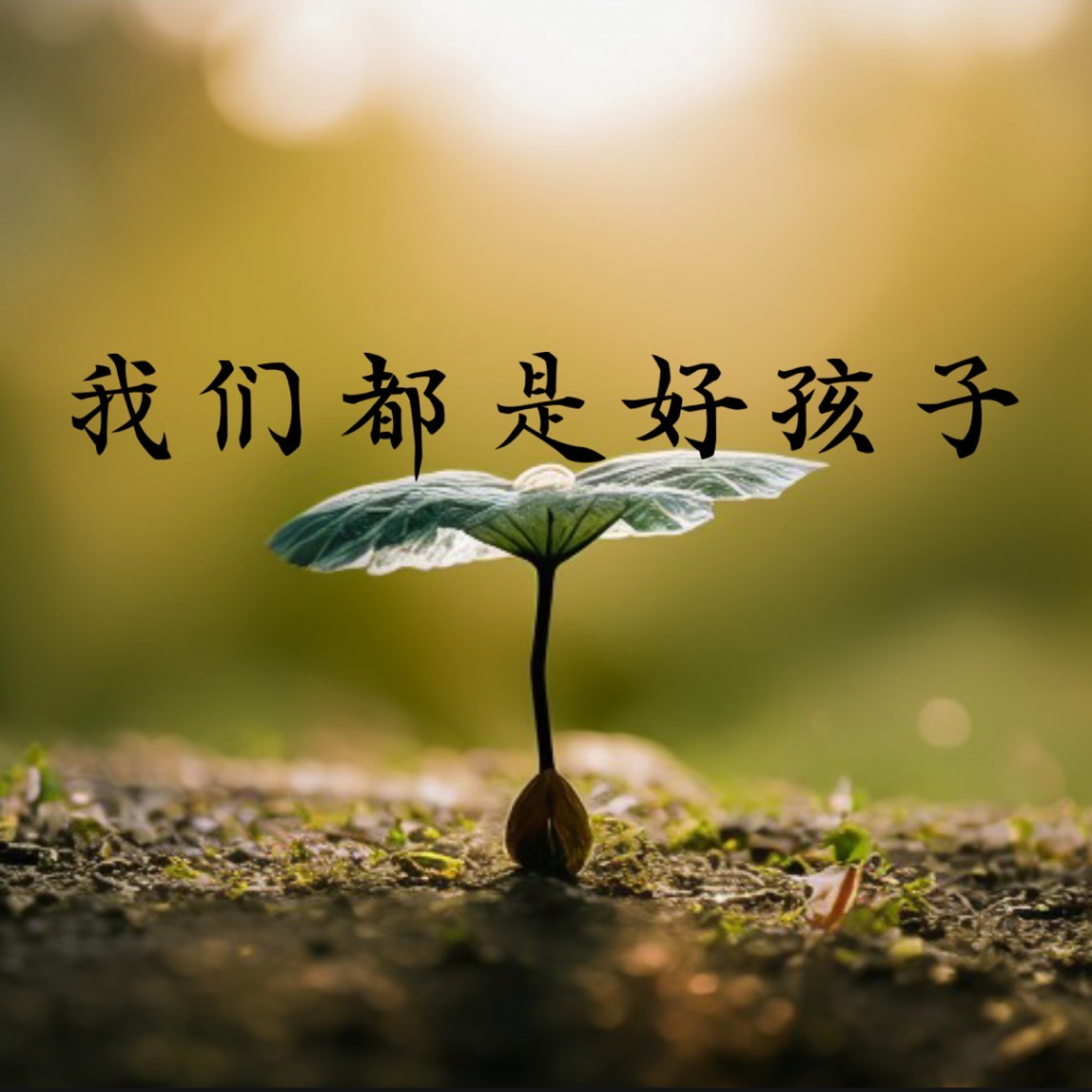 我们都是好孩子封面