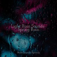 Light Rain Sounds: Spring Rain