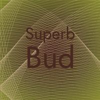 Superb Bud