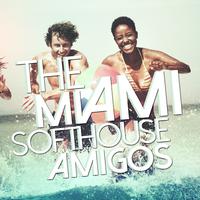 The Miami Softhouse Amigos