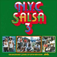 New York City Salsa Vol 3