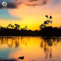 Mother Nature Ambience - Heart of the Amazon