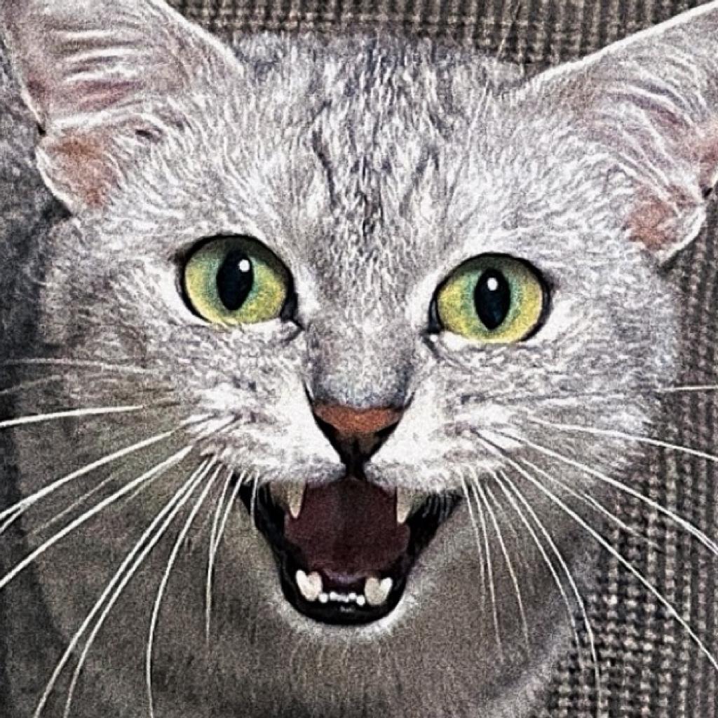 金属音乐嘎嘎硬