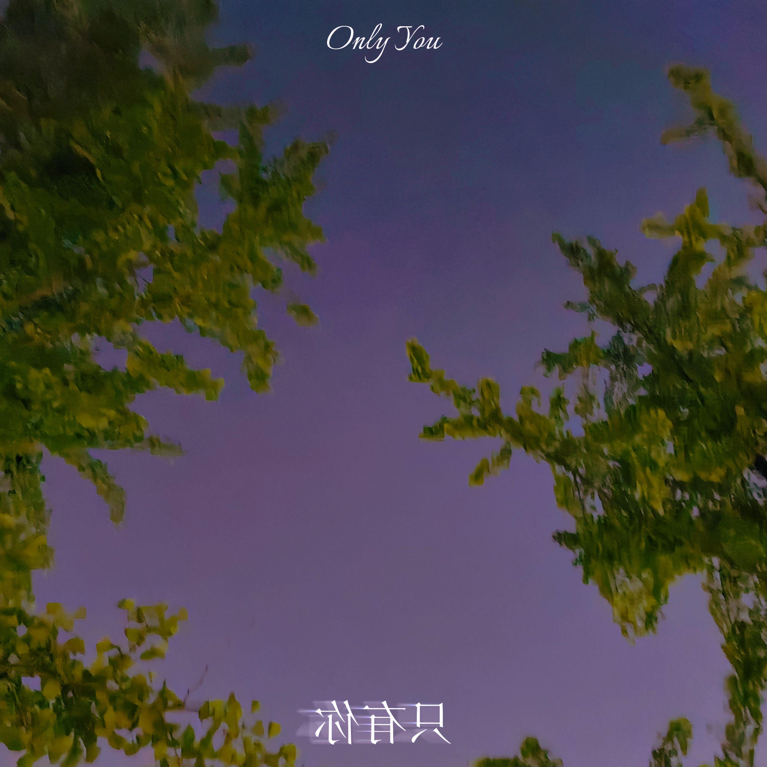 只有你 Only You