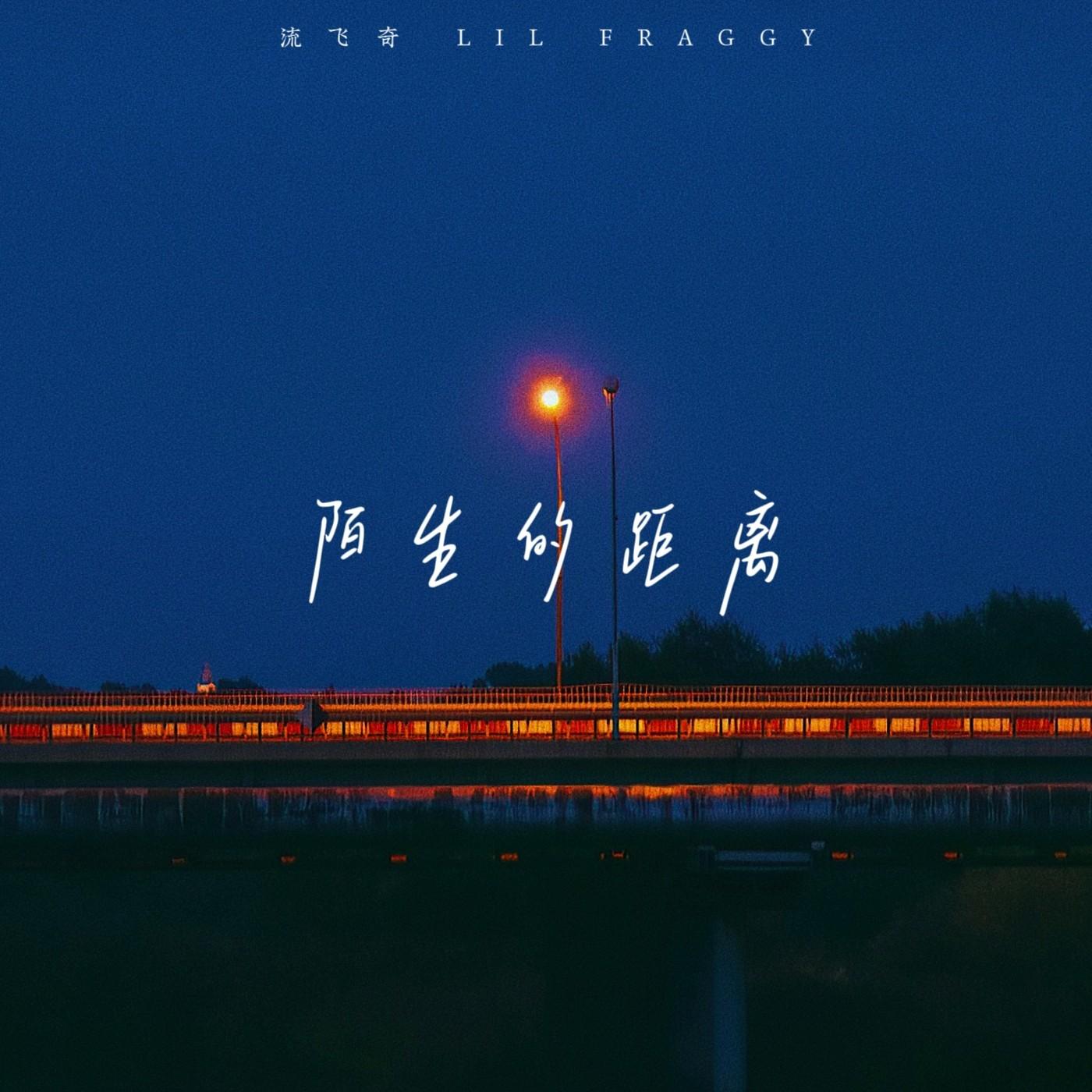 陌生的距离封面