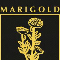 Marigold资料,Marigold最新歌曲,MarigoldMV视频,Marigold音乐专辑,Marigold好听的歌