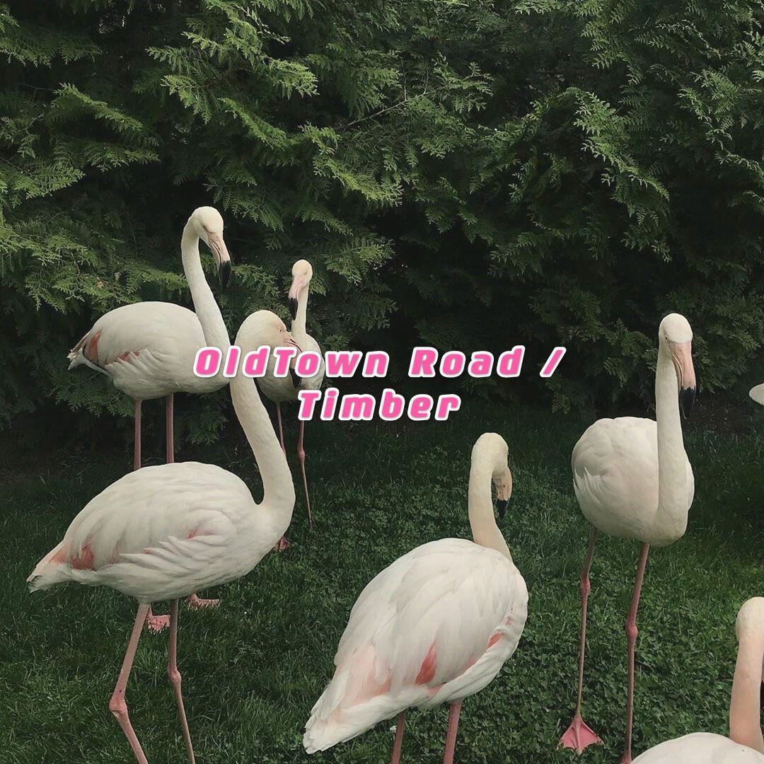 Lil Nas X-Old Town Road / Timber(2021)（张鹤方 / 9DIUZ / SKGYR remix）