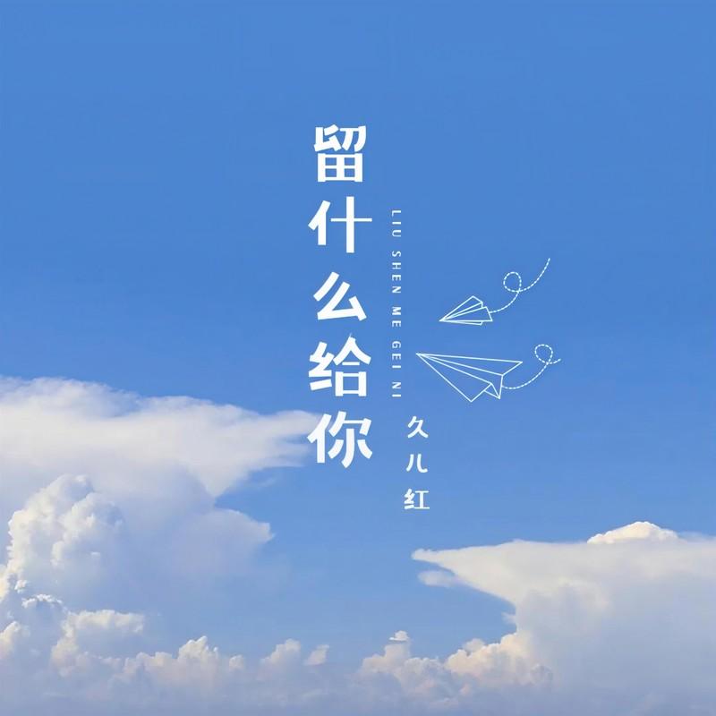 留什么给你 (伴奏) - 久儿红封面