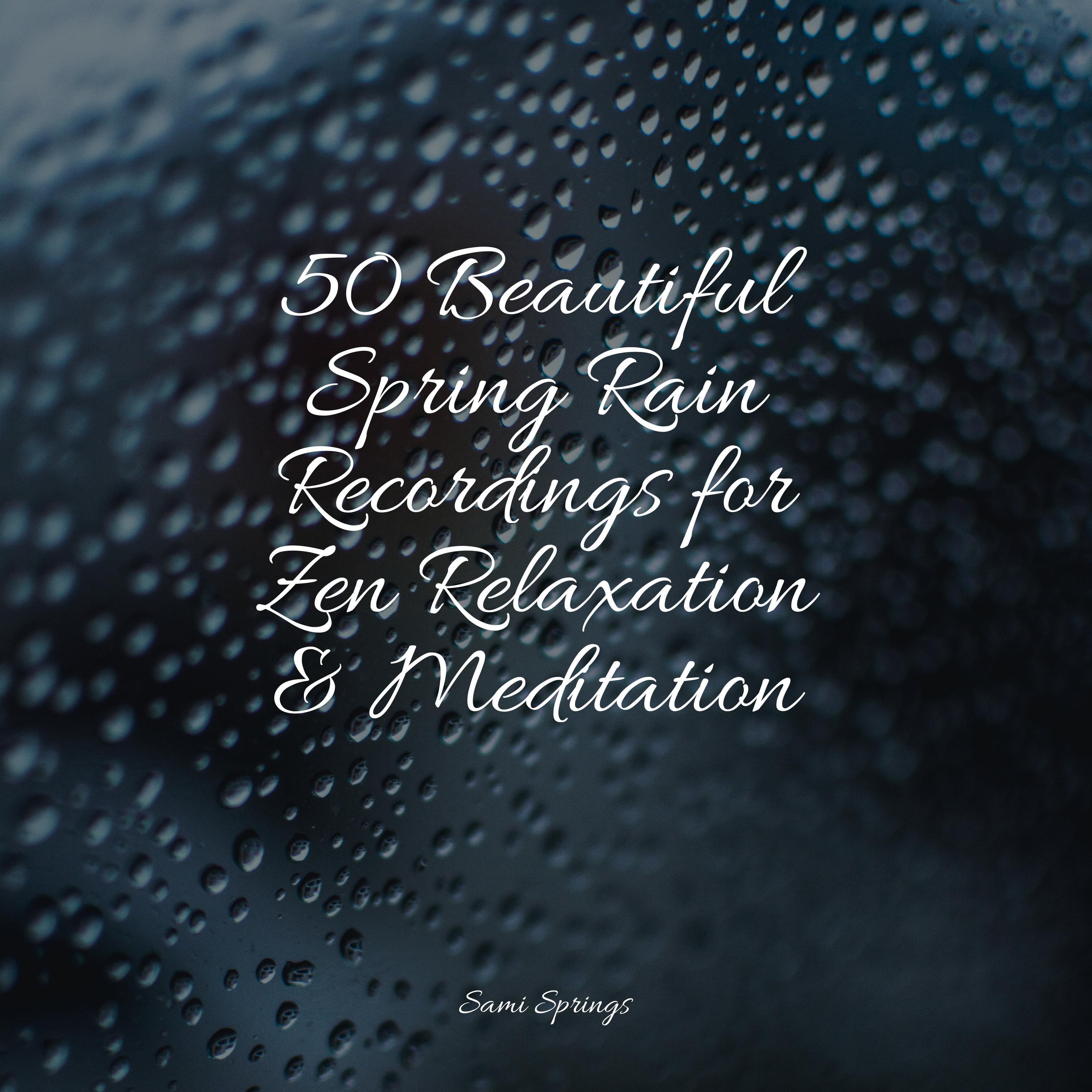 50 Beautiful Spring Rain Recordings For Zen Relaxation And Meditation