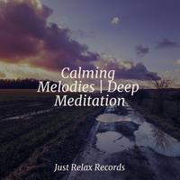 Calming Melodies | Deep Meditation