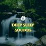 Deep Sleep Collection