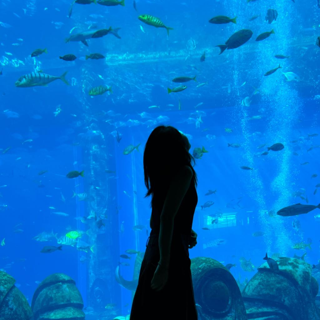 快乐短暂的停留