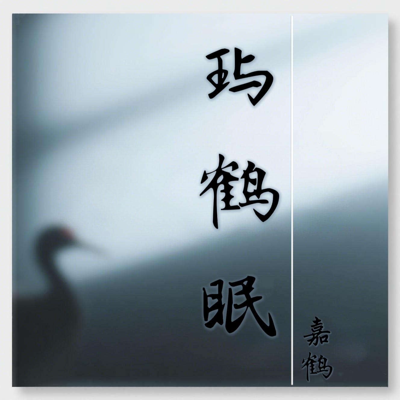 想和你在星空下流浪(伴奏)封面
