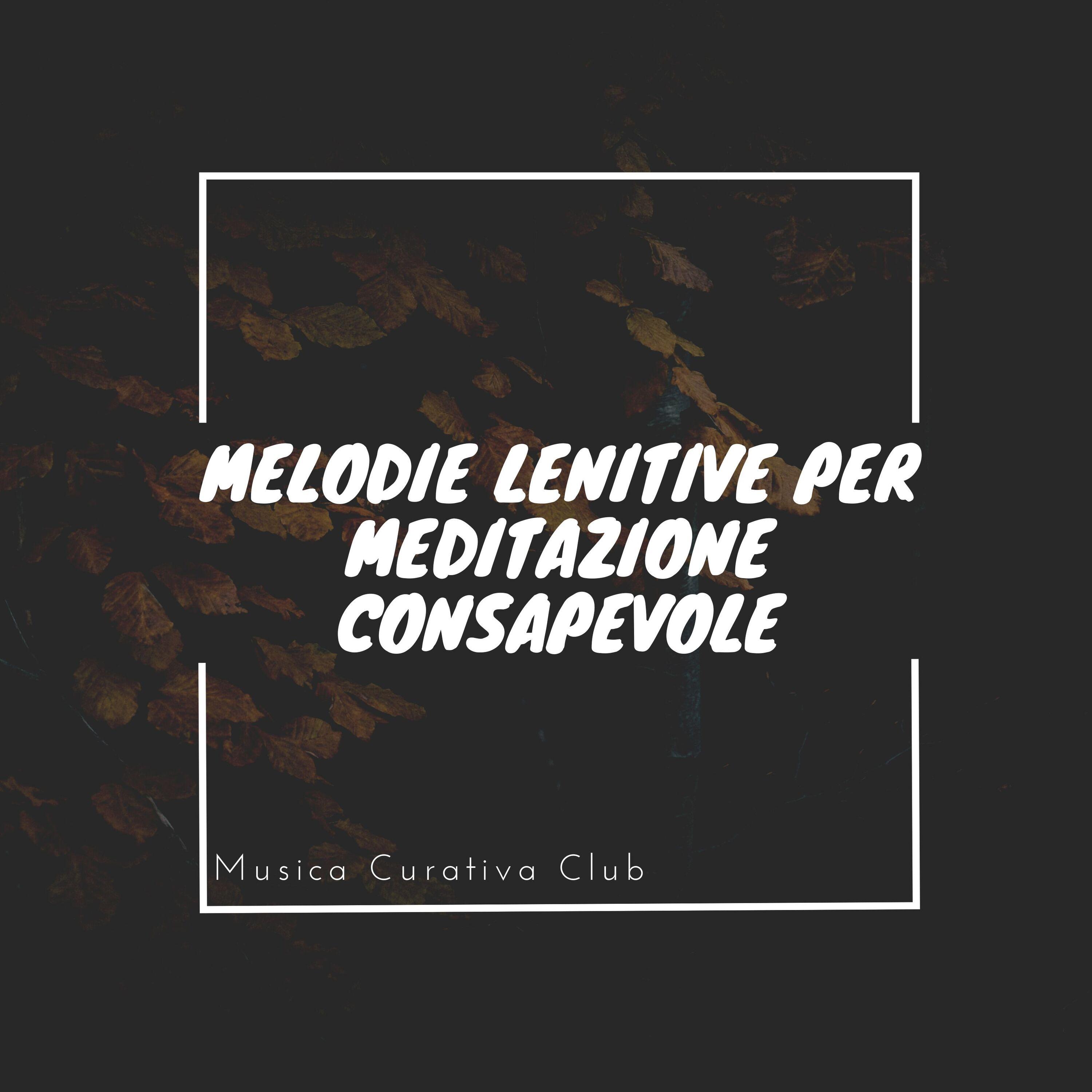 Notti beate_Musica Curativa Club_Melodie lenitive per meditazione consapevole | 在线播放_Notti beate歌词_Notti beate下载 | 网易云音乐