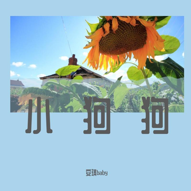 飘摇封面
