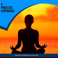 A Priceless Experience - Charming Meditating Sounds