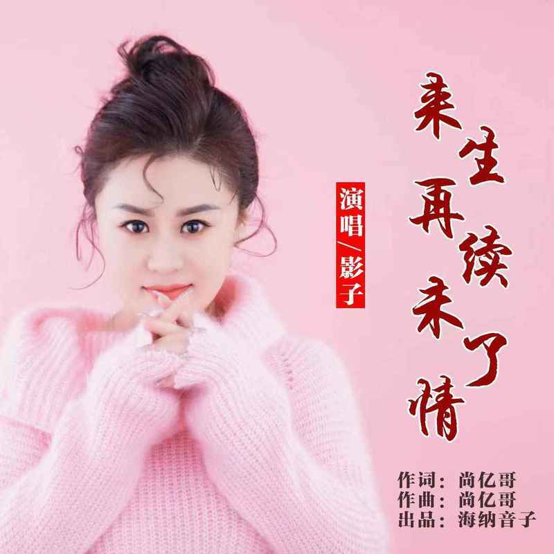 来生再续未了情 (DJ默涵版伴奏) - 影子封面