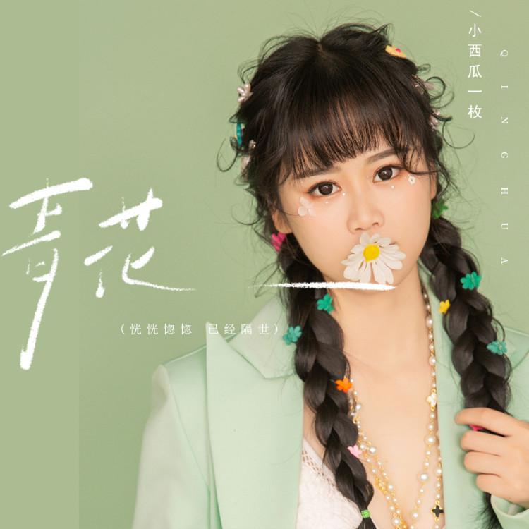 青花(恍恍惚惚 已经隔世) (伴奏) - 小西瓜一枚封面