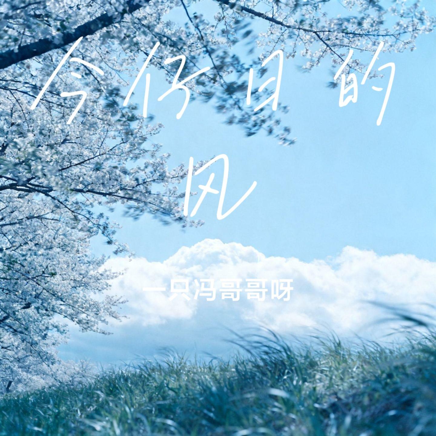 今仔日的风封面