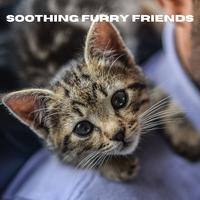 Soothing Furry Friends