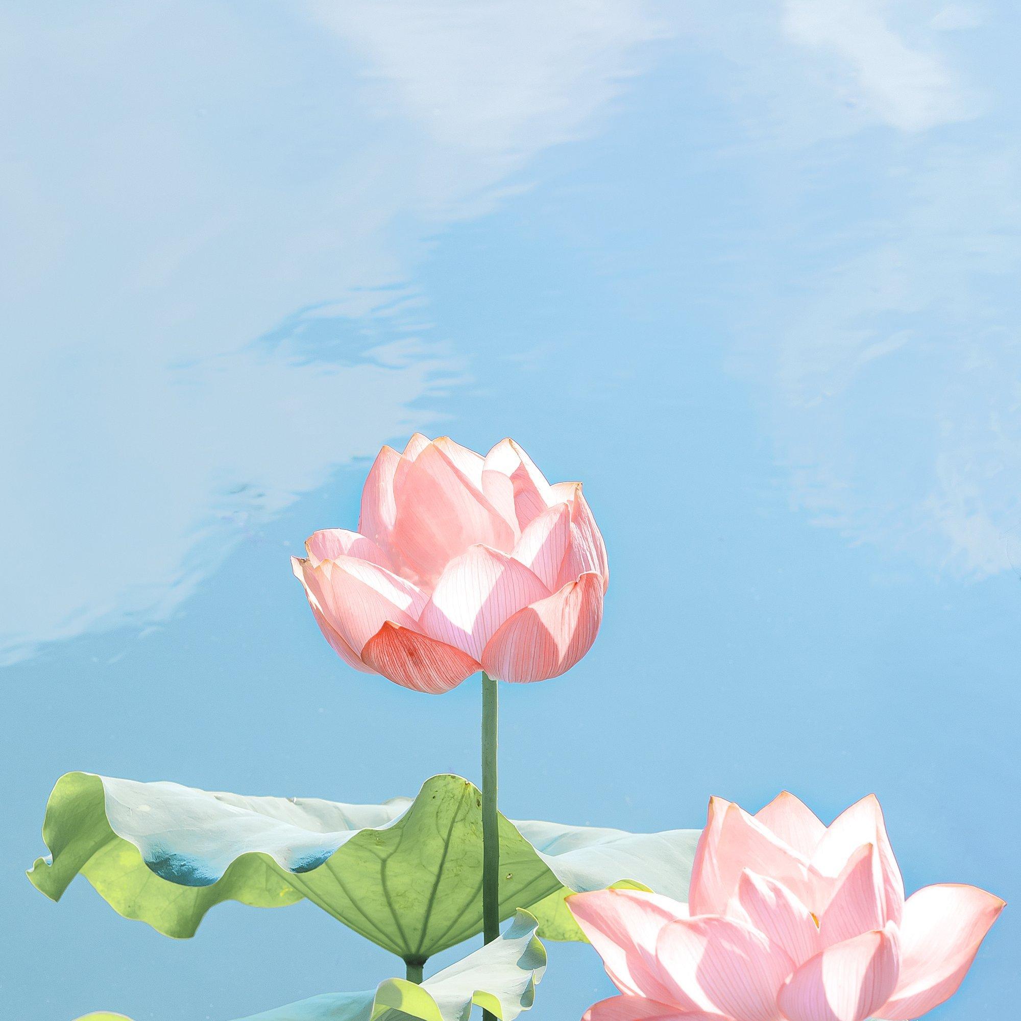 老王同桌叫老王