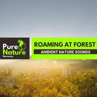 Roaming at Forest - Ambient Nature Sounds