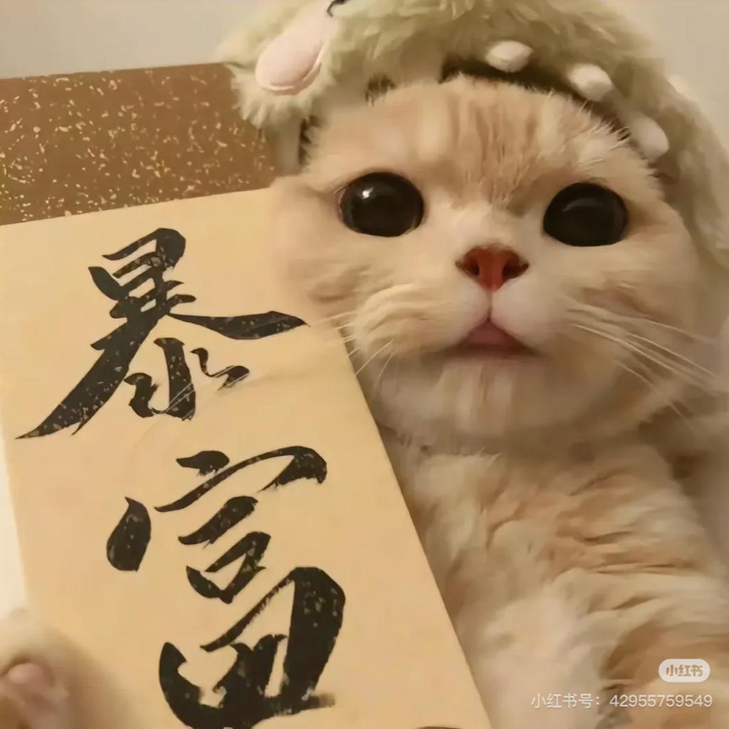 目标是做小富婆