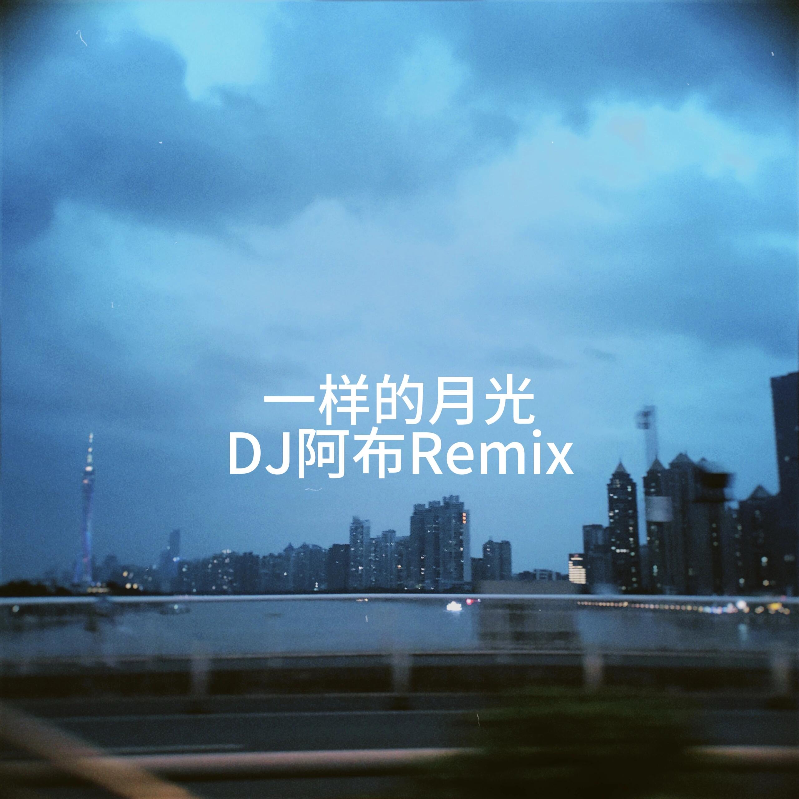 一样的月光 (DJ版)封面