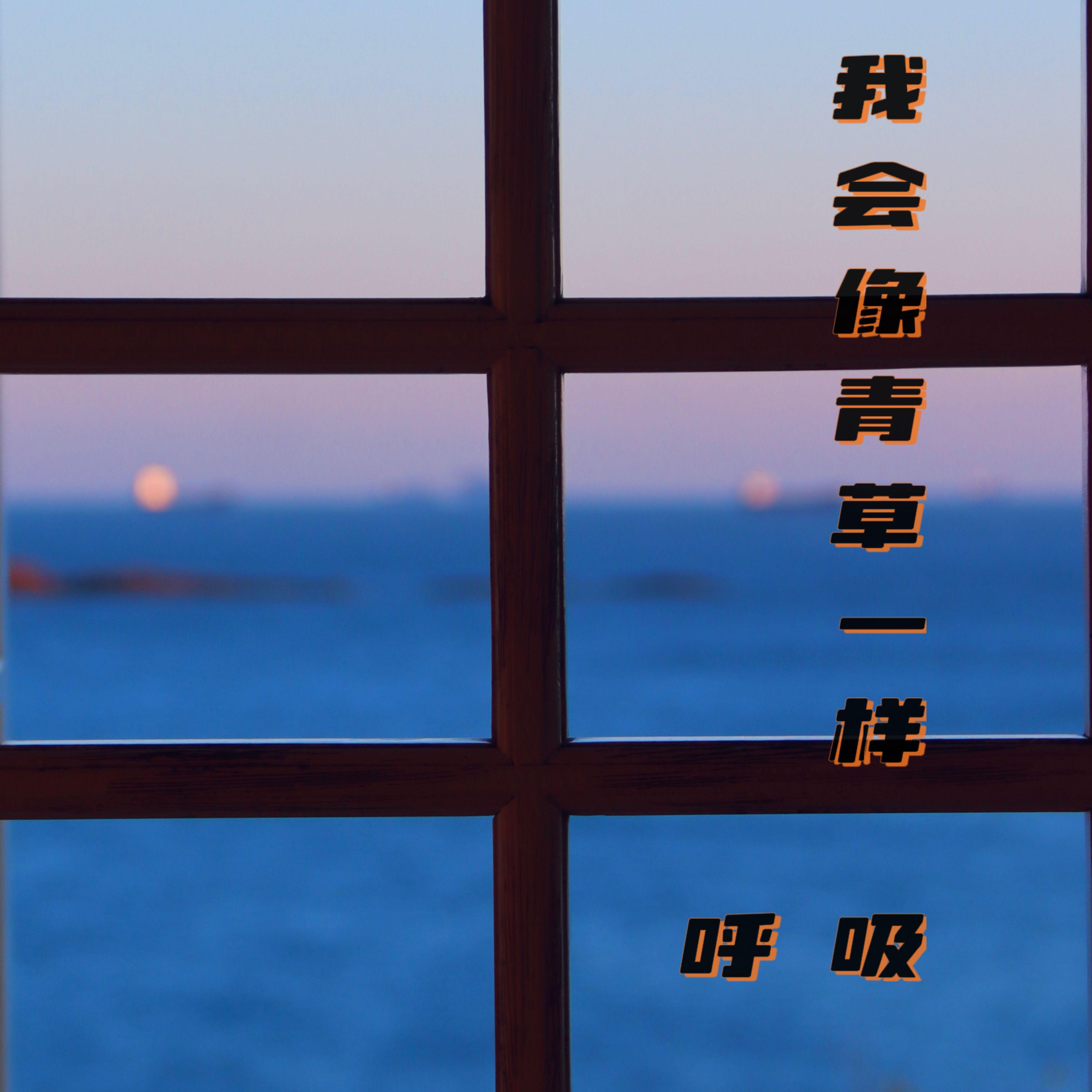 我会像青草一样呼吸封面