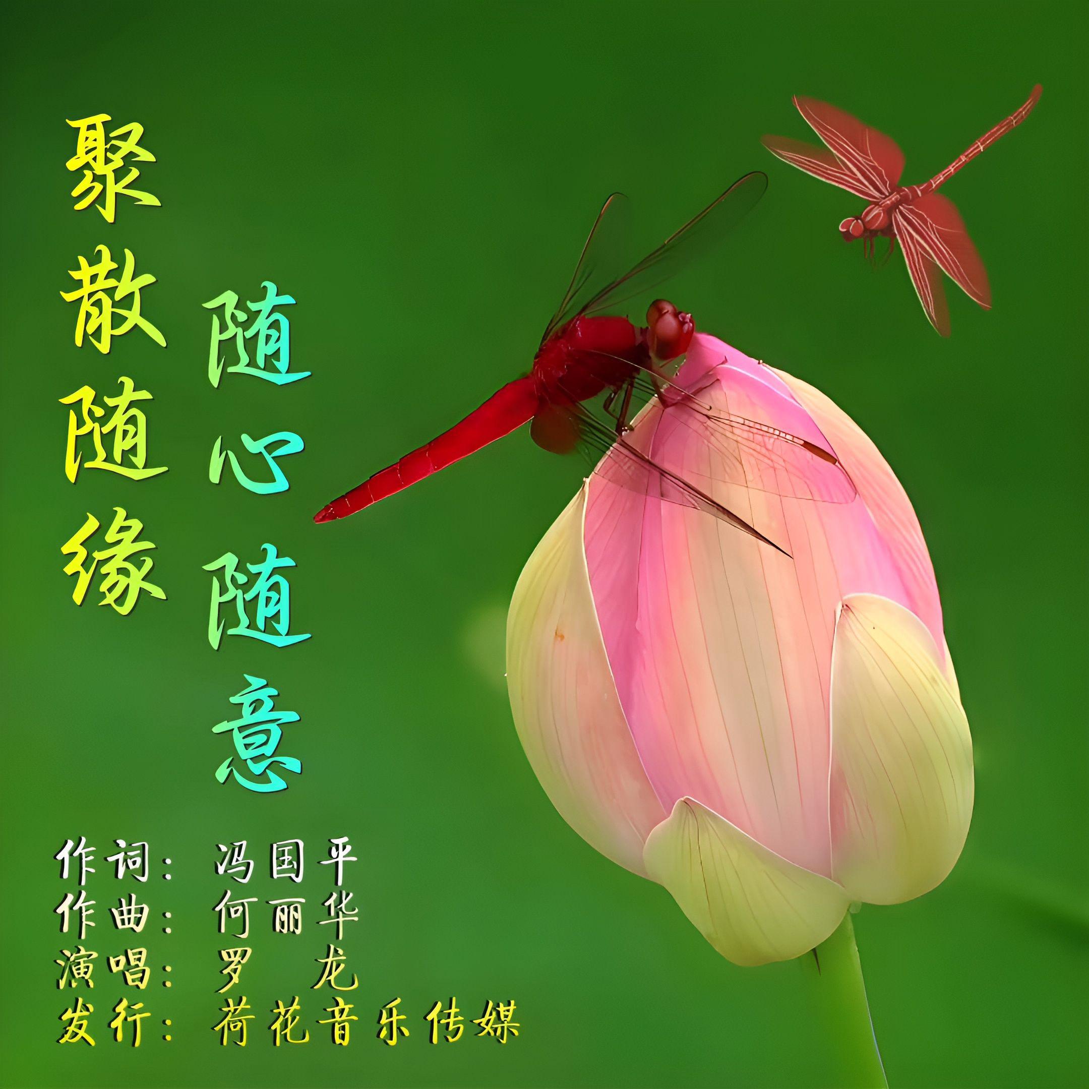 聚散随缘随心随意（伴奏）