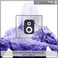 Edm Bedroom Producer Hits, Vol. 4