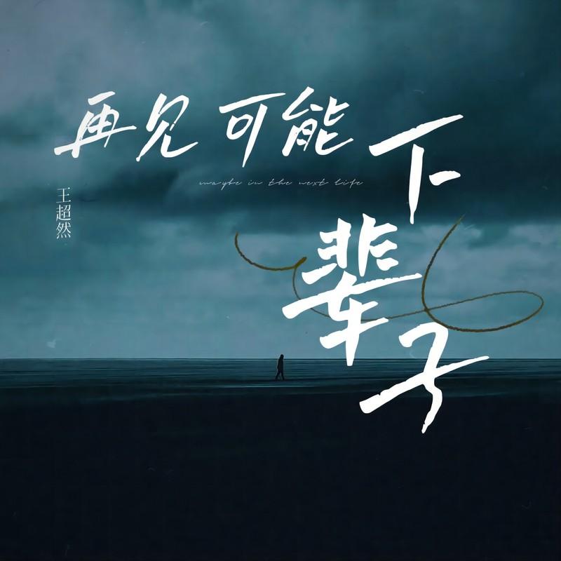 再见可能下辈子封面
