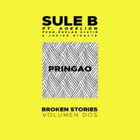 Pringao (Broken Stories Vol.2)