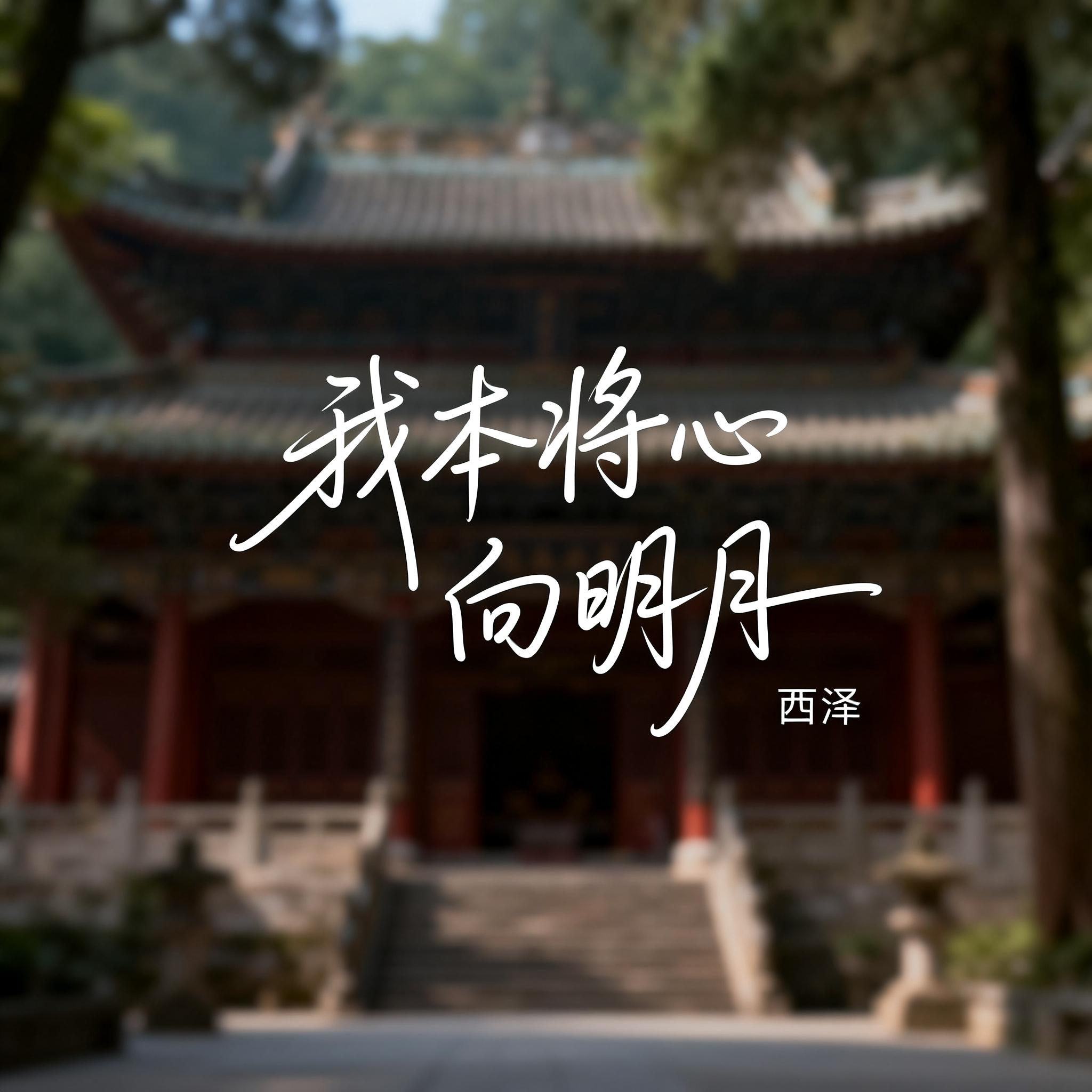 我本将心向明月（抖音热播版）