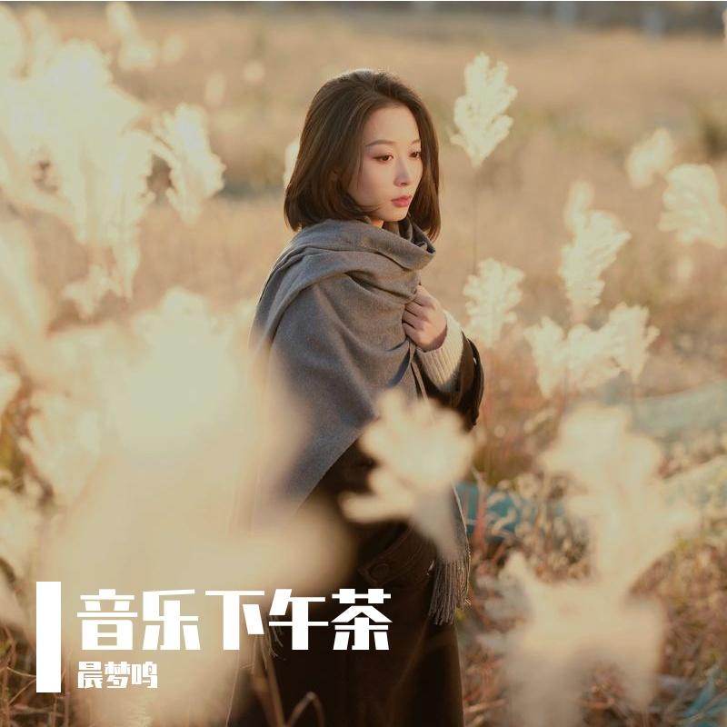 饱经沧桑封面