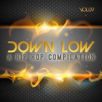 Down Low Hip Hop Compilation, Vol. 9