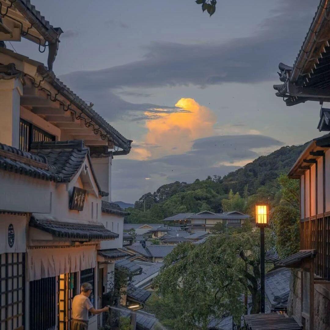 小楼盼君封面
