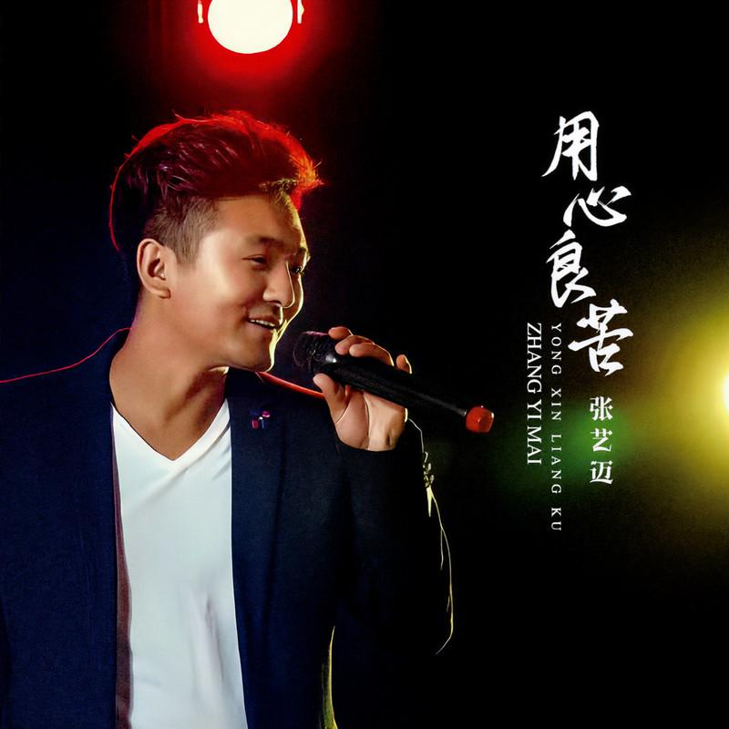 月亮惹的祸 (伴奏)封面