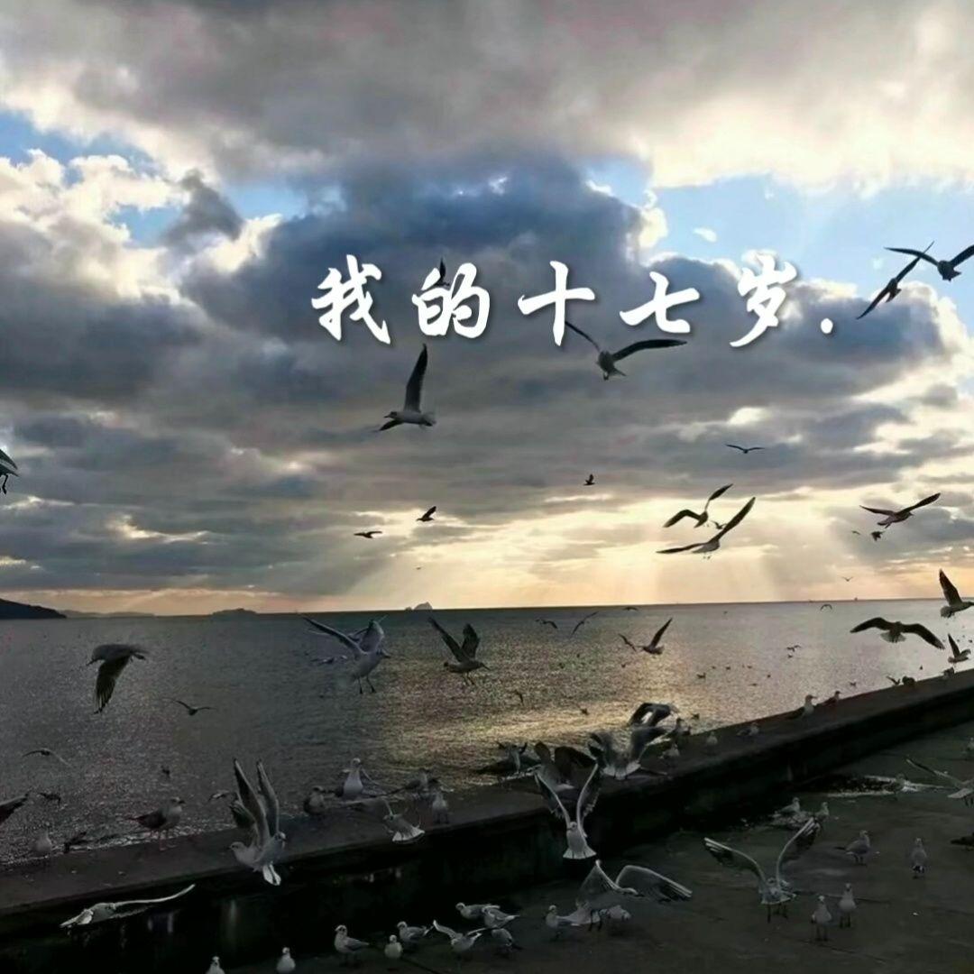 爱情而已封面