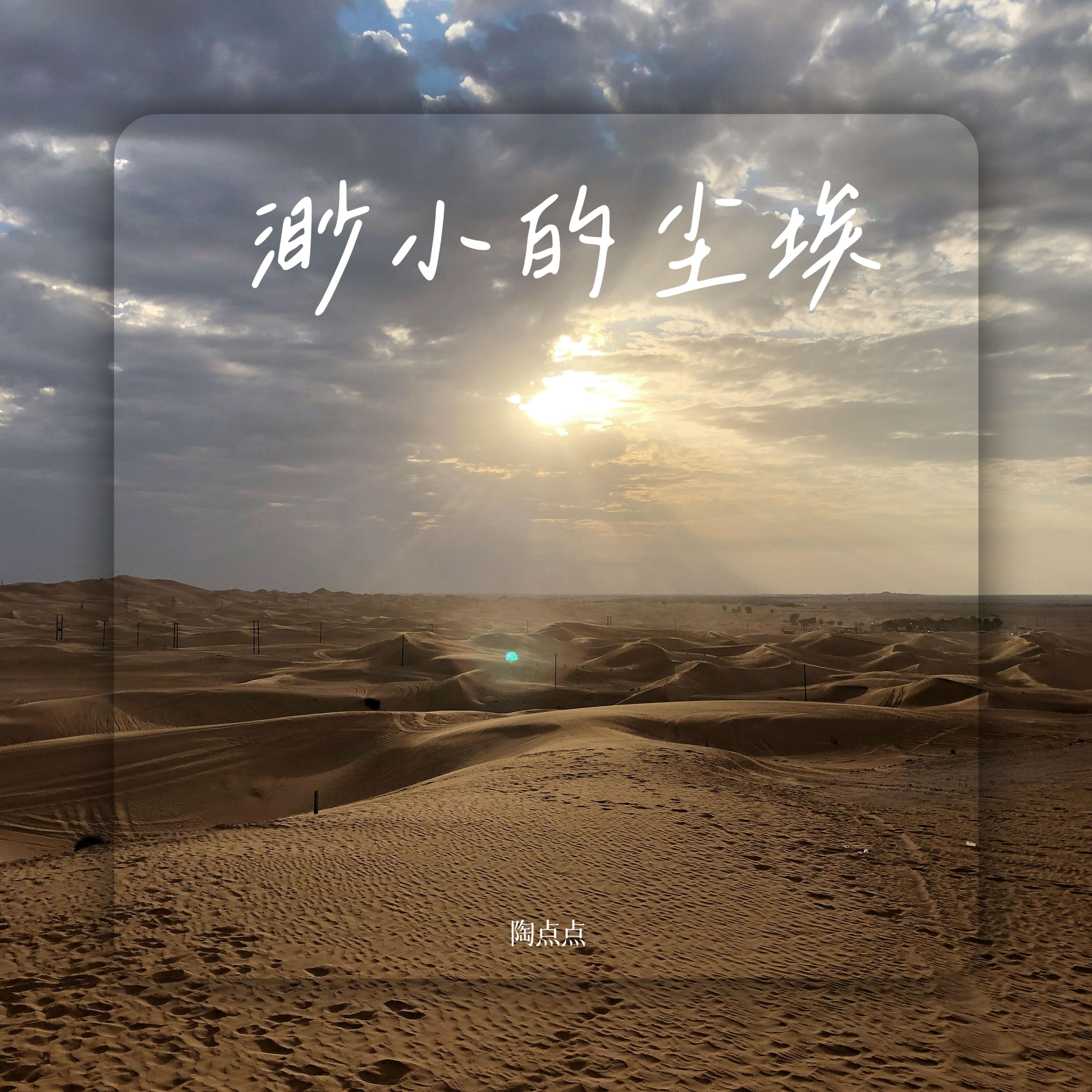 渺小的尘埃封面