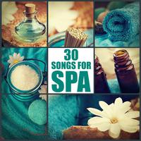 Essence of Life: 30 Songs for Spa